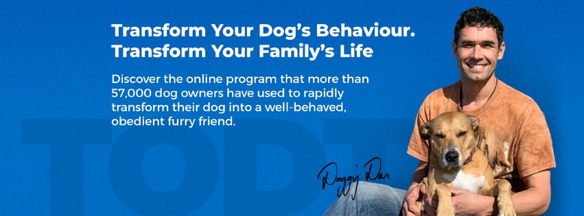 The Online Dog Trainer Main Image