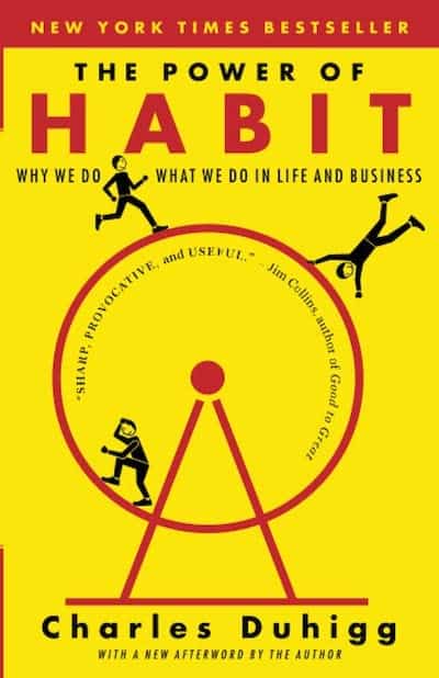 The book cover: The Power Of Habit