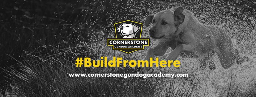 Cornerstone Gundog Academy Main