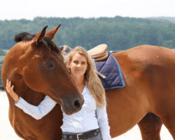 Click To See More About Horse Class