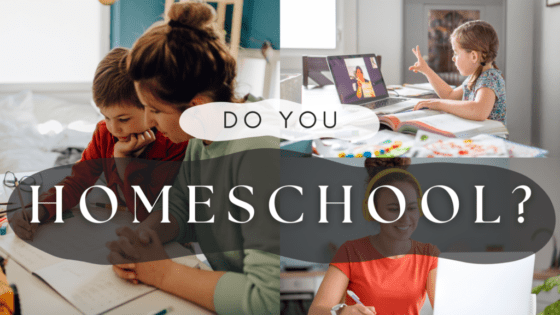 4 Reasons To Supplement Homeschooling With Online Courses